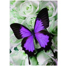 5D Diamond Embroidery Painting Butterfly Cross Stitch Craft Home Decor Kit