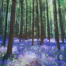 Forest Tapestry Floral Decor, Bluebells in Woods Landscape and Flowers Rura H6J2