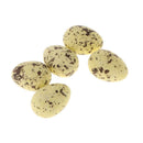 Pack of 5pcs Artificial Speckled Bird Eggs for Crafting,Favors,Embellishing