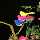 10pcs DIY Artificial Birds with Clip Simulated Colorful Feather Home Decor