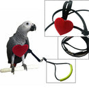 Adjustable Parrot Bird Harness Leash Anti-Bite