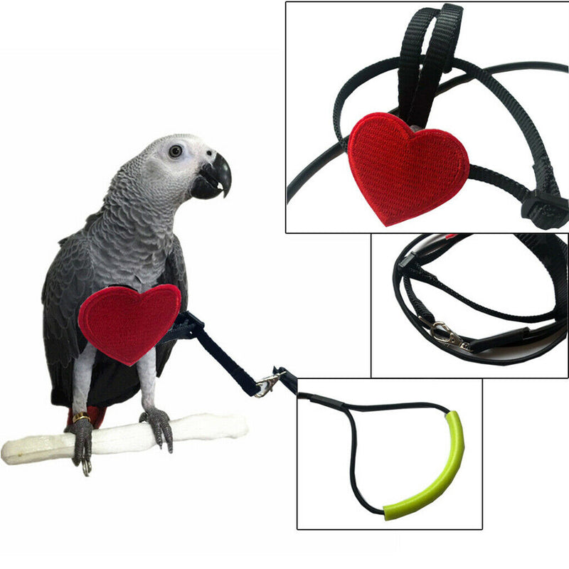 Adjustable Parrot Bird Harness Leash Anti-Bite