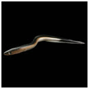 30CM PVC Soft Sand EeL Saltwater Fishing Lures Bait Cod Bass Pollock Sand B X9E3