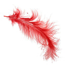 120 colors for Turkey feathers wedding birthday festival deco