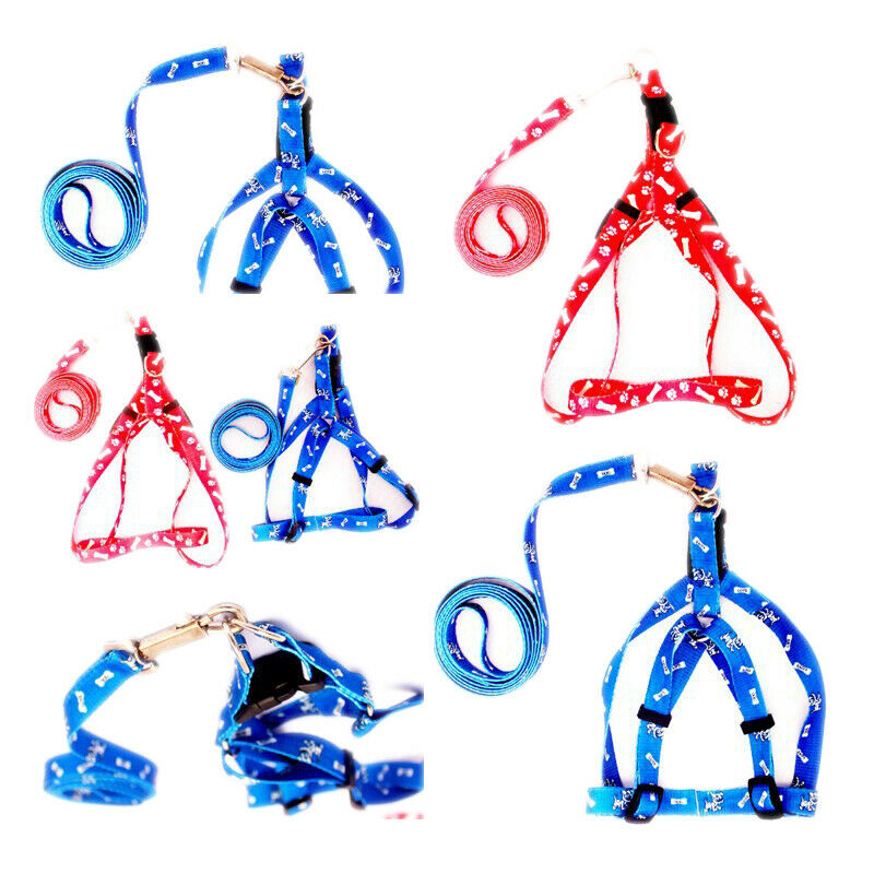 Pet Dog Puppy Cat Kitty Nylon Harness Leash Lead Embroidery O4D8