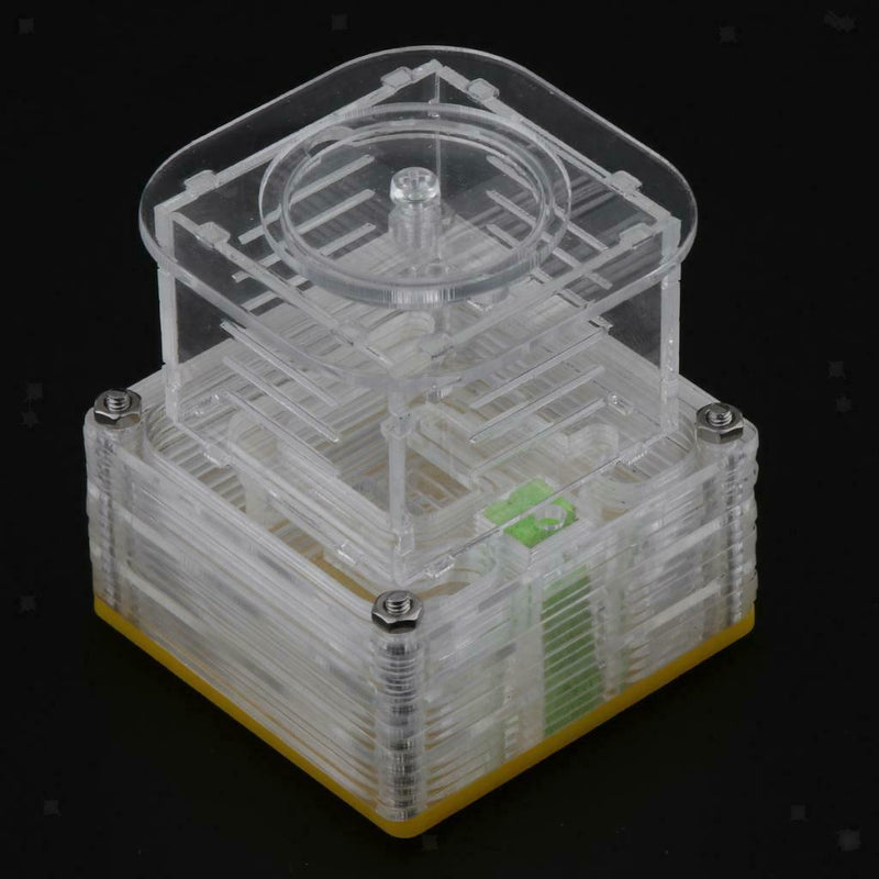Clear Ant Feeding Nursery Box Ant Farm House Castle Insect Terrarium  S
