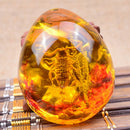 Fashion Insect Stone Scorpions Inclusion Amber Baltic Pendant Necklace Gift 3C