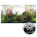 Aquarium Surface Protein Skimmer Oil