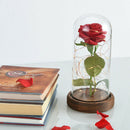 Eternal Rose Flower Red Silk Rose and LED Light with Fallen Petals in Glass