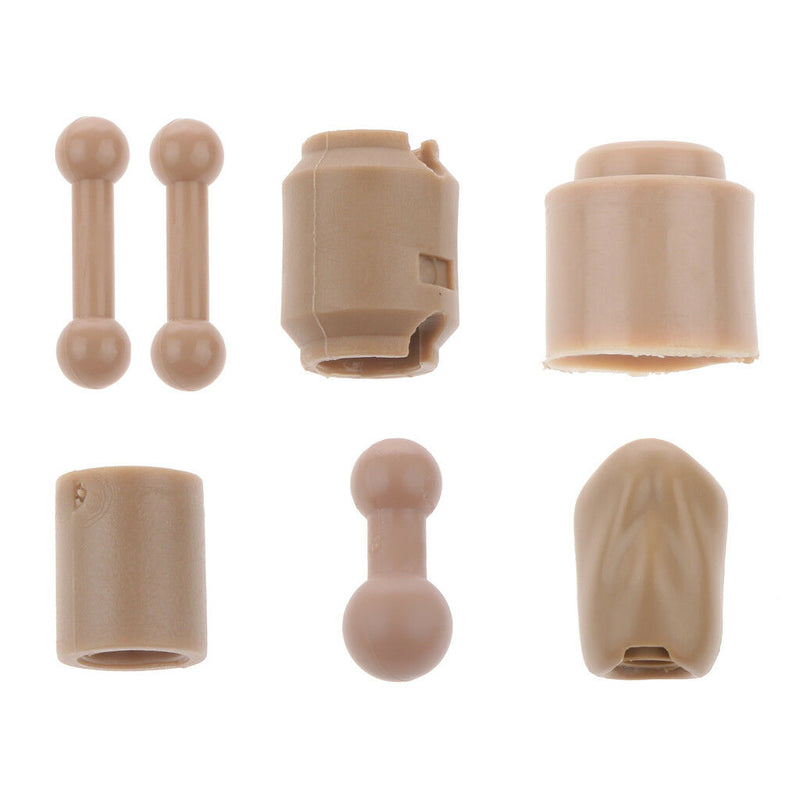 1/6 Scale Female Head Inner Ring Body Parts for 12'' HT BBI Phice Figures