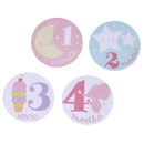 Baby Monthly Photograph Stickers Month 1-12 Milestone Stickers(Pink)