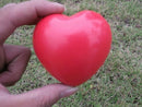 Heart Shaped Exercise Stress  Relief Squeeze Elastic Rubber Soft Foam BallES