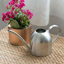 Stainless Steel Watering Kettle Indoor Household Meaty Potted Plants Wateri