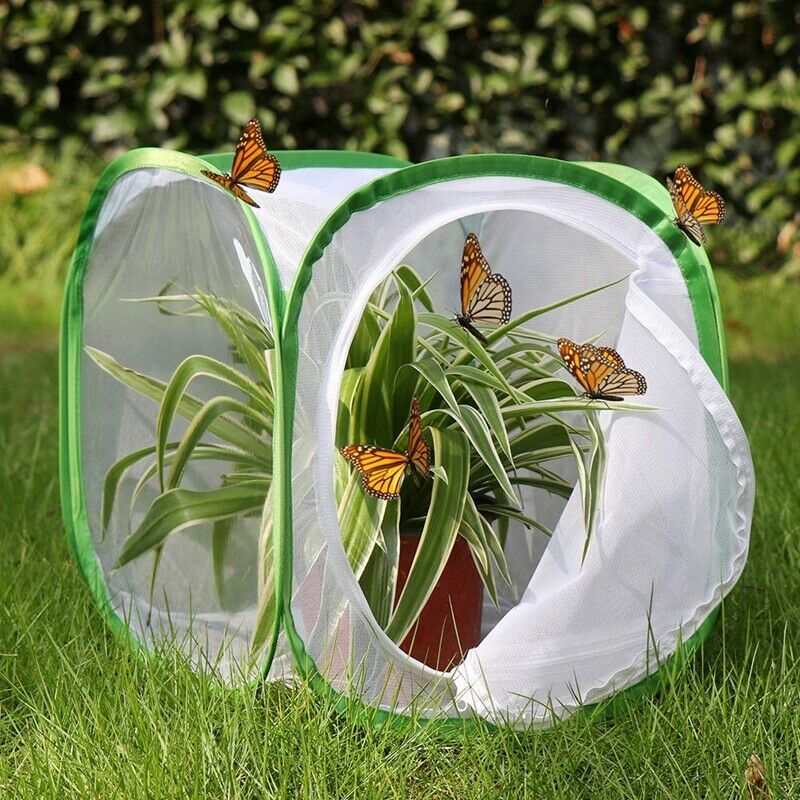 Insect and Butterfly Habitat Cage Terrarium Pop-up 12 x 12 x 12 Inches (Whi