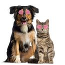Lovely Dog Cat Glasses Pet Eye Protection Sunglasses Photos Props (Pink) A