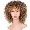 Hair Bob Wigs Brazilian Lace Front Human Hair Wigs For Black Women Natural