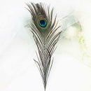 10pcs Beautiful Peacock Feathers 90-100cm for Birthday party Christmas Eas LPK
