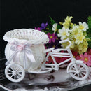 Cute Pography Basket ps Tricycle Bicycle Flower Basket Vase_Decoration