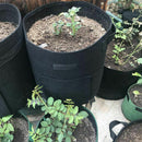 Grow Bags 7 Gallon Plant Potato Carrot Tomato Onion, Double Layer Premium B
