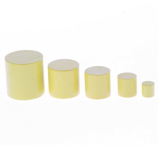 Wooden Montessori Material Mini Family Set Knobless Cylinders Intellectual Toys