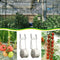 17Pack 15m Gardern Tomato Hooks Vegetable Clamps For Planting Vegetable Cucumber
