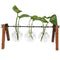 Diy Home Garden Wooden Rack Transparent Vase Glass Plant Hydroponics Tablet Z6M3