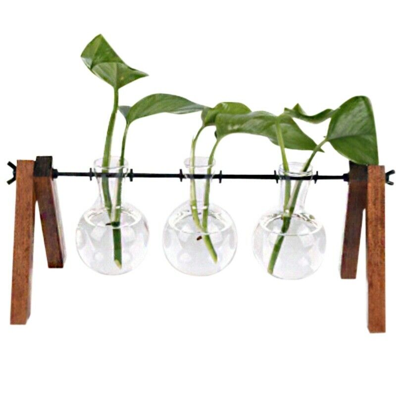 Diy Home Garden Wooden Rack Transparent Vase Glass Plant Hydroponics Tablet Z6M3