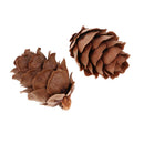 50 Pieces Natural Decorative Pine Cones Pinecone Dried Flowers for Christmas