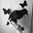 Artificial Crow Black Bird Raven Prop Decor For Halloween Display Event Par