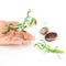 Lifelike Life Cycle of Mantis Growth Pre-school Cognitive Toys Themed Party