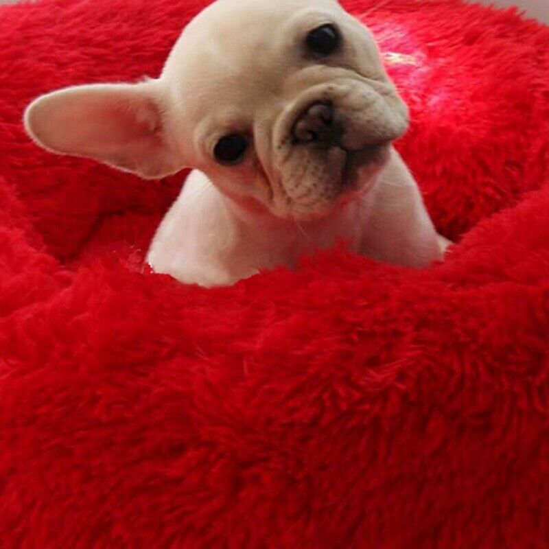 Pet Bed for Cats and Dogs,Super Soft Round Dog Bed Oval Donut Nesting Cave