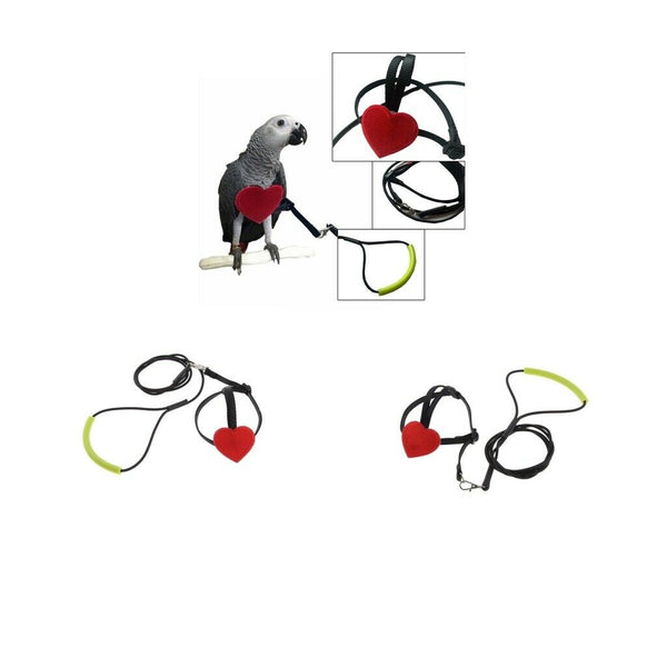 Adjustable Parrot Bird Harness Leash Anti-Bite
