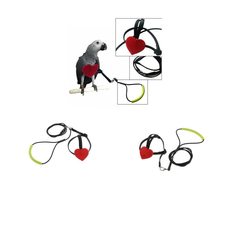 Adjustable Parrot Bird Harness Leash Anti-Bite