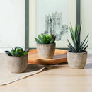 3Pcs Artificial Succulent Potted Plant Small Pots 7/8/14cm Indoor Outdoor Decor