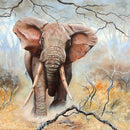 5D DIY Full Drill Diamond Painting Cross Stitch Embroidery Kit (Elephant05)