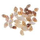 30 Pieces Of Mussel Perlenb Crafting Shells  For Handicrafts, Decoration Or