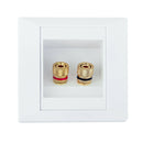 Home Theater Speaker 2 Binding Post Banana Plug Sound Audio Wall Face Plate