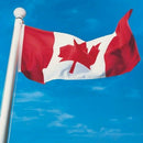 Home Outdoor Decoration Printed Hanging Polyester Indoor Festival Canadian Flag