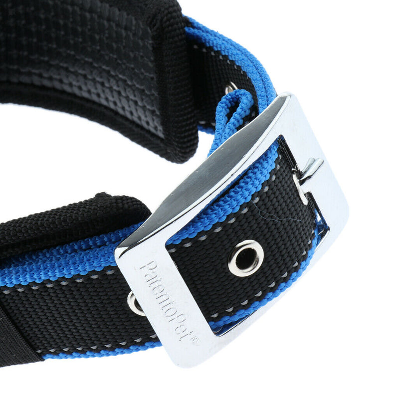 Pet Dog Collar Neck Belt with Adjustable Strap Dog Cat Pet Accessories Blue