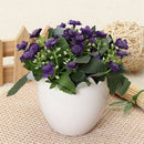 Egg Shaped Flower Plant Pot Container Planter Holder Home Office Garden Dec P4X9