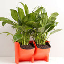 4Pcs Vertical Garden Stackable Wall Planters with 8 Container Boxes - Good for