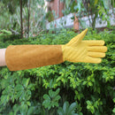 Extra Long Cowhide Beekeeping Gloves Elasticated Beekeeper Tool Supply L