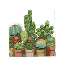 Stamped Cross Stitch Kits With Pre-printed Pattern - Cactuses 14CT 34x35cm