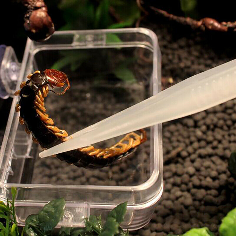 1Pc Reptile Tweezers Noctilucent Clip Feeding Tongs Live Food Feeding Clam Gw