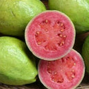 50pcs Guava Seeds Delicious Tropical Fruit Seed Non Transgenic Plant Bonsai LJ