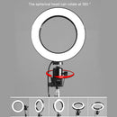 10 Gear 3 Color Beauty Fill Lamp Small Photography Ring Led Lamp Usb Photo  C9F5
