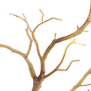 Modern Art Decor Dried Tree Branches Plant Twig Home Floral Decor -Coffee