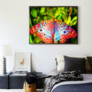 5D DIY Full Drill Diamond Painting Butterfly Cross Stitch Embroidery Kits