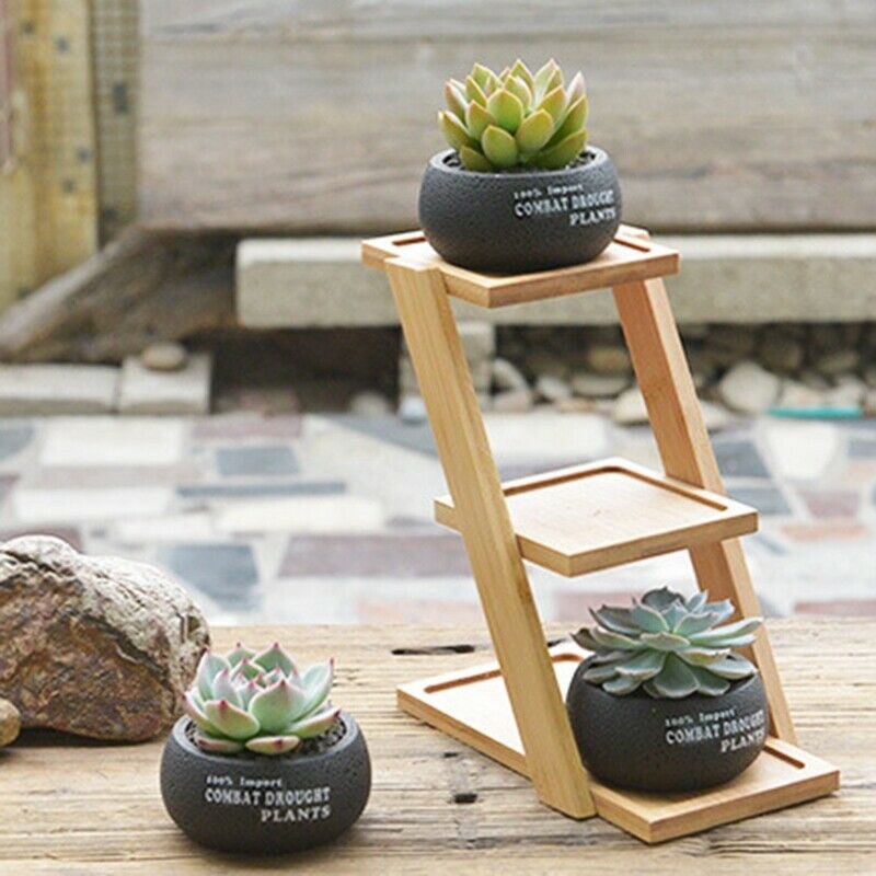1 Set Cement Succulent Planter Pot Geometric Flower Pot 3 Bonsai Cactus Pla M7U3