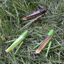 Realistic Insects/Bugs Locust for Halloween Party Favors and Decoration